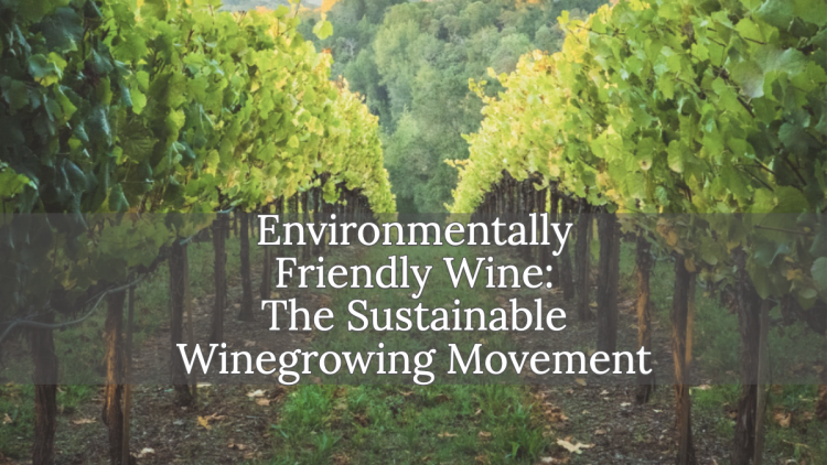 Sustainable Winegrowing