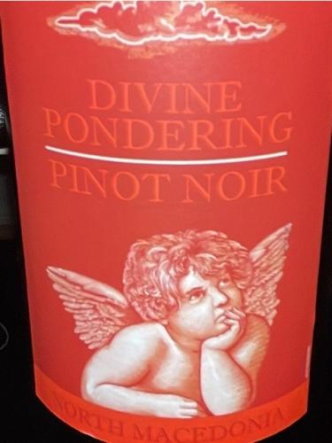 Divine Pondering - Pinot Noir - 2021